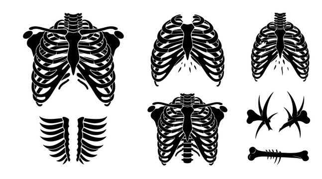 Set of Black Silhouettes of Human Rib Cages and Bones for Halloween Design