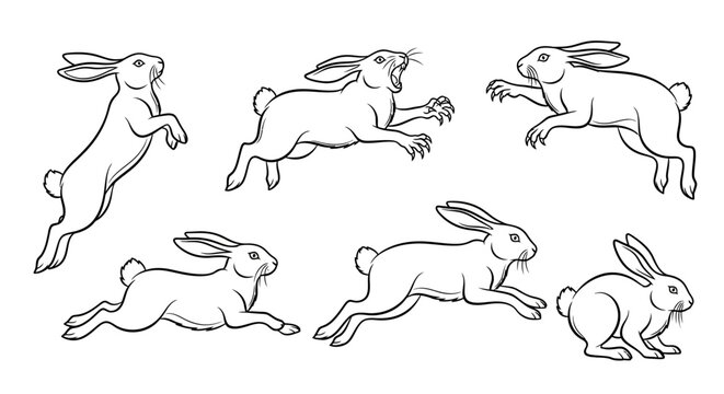 Rabbit sketches, set of hand-drawn bunnies in various action poses