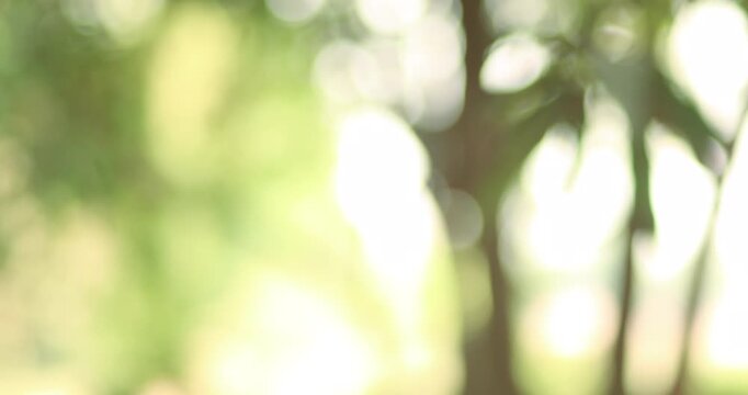 Blurred nature background with green tones and sunlight filtering through leaves. Calm, relaxing atmosphere, ideal for backgrounds, wellness, and natural themed content