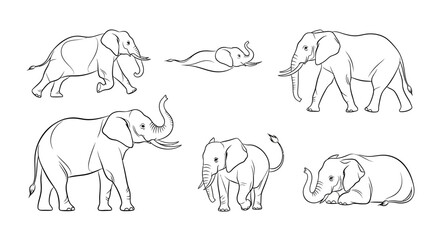 Obraz premium Elephant set, hand-drawn collection of African elephant poses for design