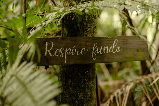 Placa com escrita "Respire Fundo" em meio a mata