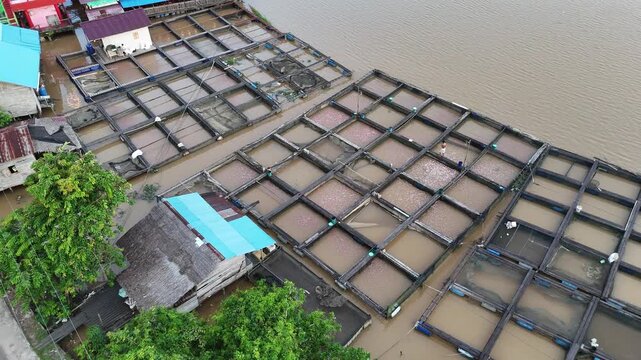 A view from above of river fish ponds and fish cages along the rural settlements on the banks of the Kapuas River in Indonesia.