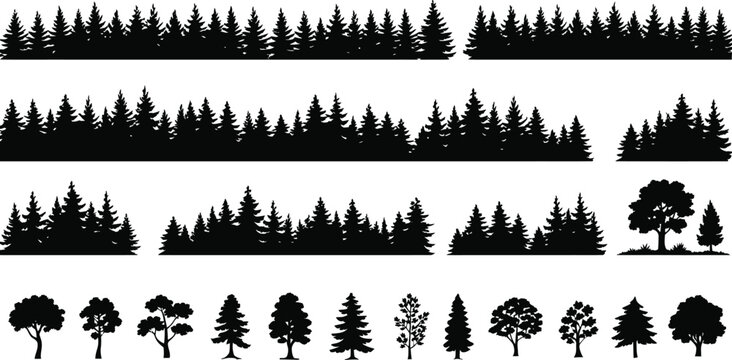 Black silhouette forest and tree collection trees evergreen
