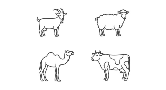 Goat sheep cow and camel animals.