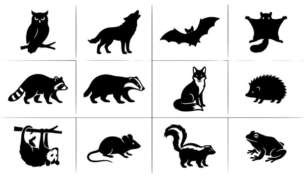 Nocturnal animal silhouettes vector set owl wolf bat raccoon forest wildlife black illustration