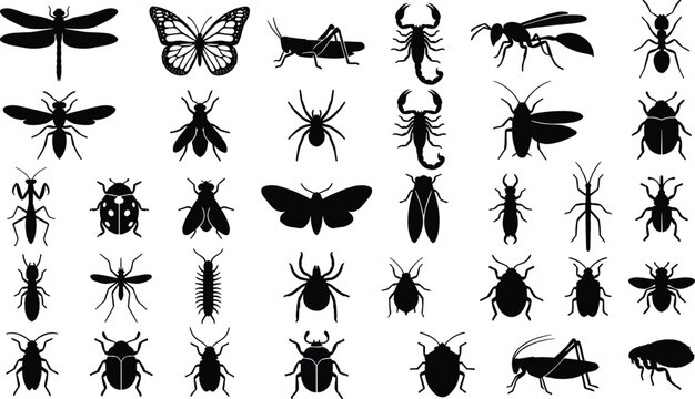 Silhouettes of Various Insects, Including Dragonflies, Butterflies, Ants, and Scorpions