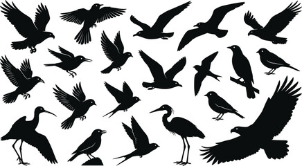 Obraz premium Flying and Perching Bird Silhouette Set with Various Wildlife Species in Dynamic Wing Positions