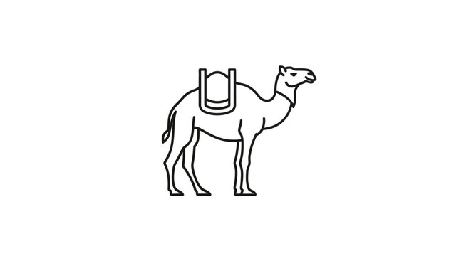 Camel with saddle standing alone.