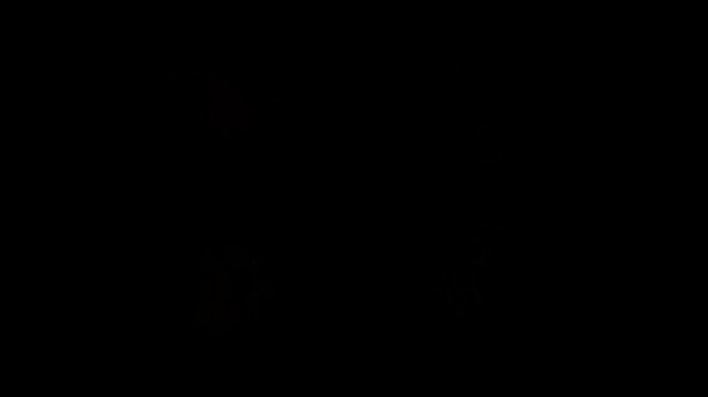 glowing particle magic tail sparkling glitter Wave effects trail loop Animation video With alpha channel.