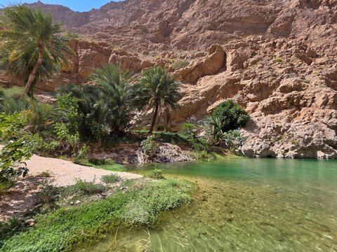 oasis in the desert in wadi shab in Oman  
