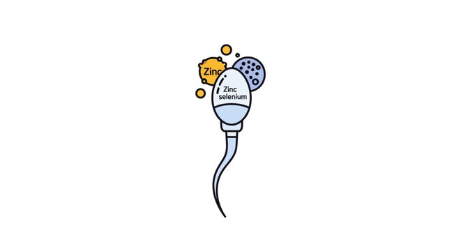 Zinc Supplementation for Sperm Health and Male Fertility