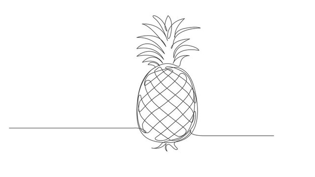 hand drawn illustration of a pineapple,pineapple continuous line drawn animation,Animated self drawing of continuous line draw of pineapple. Full length one line animation. 4K