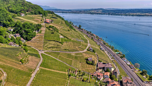 Twann am Neuenburger See, Schweiz, Luftaufnahme, Mai 2026