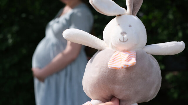A cute plush toy rabbit in the foreground with a blurred silhouette of a pregnant woman