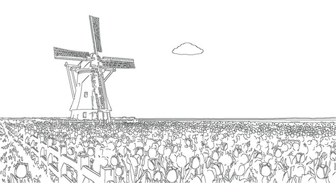 Dutch Windmill in Blooming Tulip Field Landscape Line Art