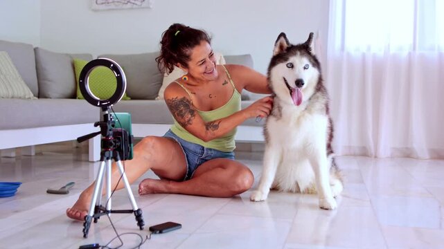 Influencer woman vlogging and brushing a husky dog at home