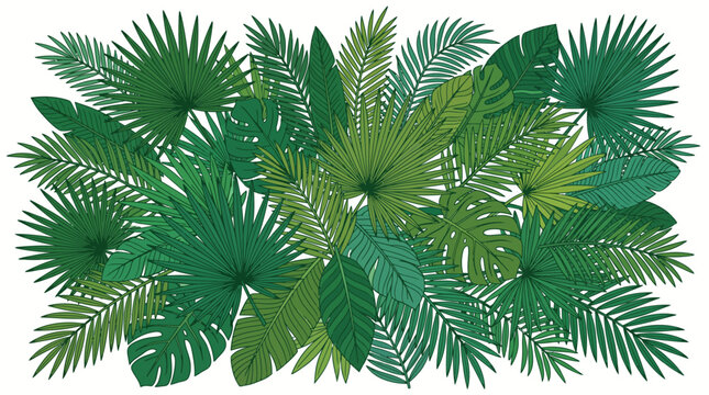 Collection of various green tropical leaves.