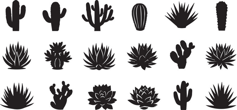 Black cactus, succulent icons set, 20 desert plant silhouettes, vector graphics