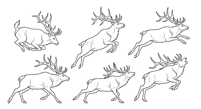 Deer set, hand-drawn vector illustrations of majestic stags in motion