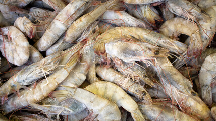 Fototapeta premium Close-up of a large heap of fresh uncooked prawns with shells and heads intact, displayed at a fish market