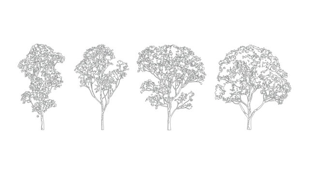 Four detailed deciduous tree sketches for architectural rendering and landscaping design plan.