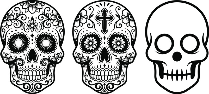 Decorative skull illustrations featuring ornate floral sugar skull designs and simple skeletal outline for cultural, artistic, and tattoo concepts