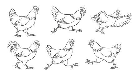 Obraz premium Chicken set, hand drawn sketches of farm birds in motion