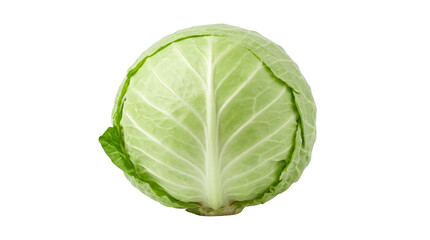 Obraz premium fresh organic cabbage isolated on transparent background