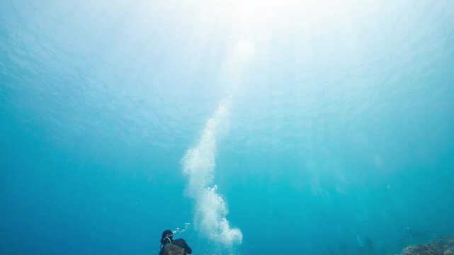 SCUBA Dive guide inflates and releases large safety sausage at end of dive over tropical reef