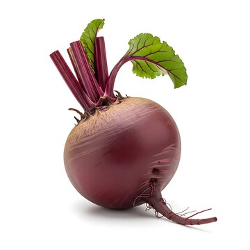 Fresh red beetroot vegetable with green leaves attached for healthy cooking and nutrition food ingredients