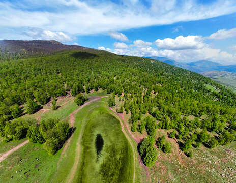 Aerial view of Forest Trees, Scenery spring forest, nature,tree and landscape, beautiful green forest in summer, path in the forest. Forest path way. Path in forest, jijel Algeria Africa.