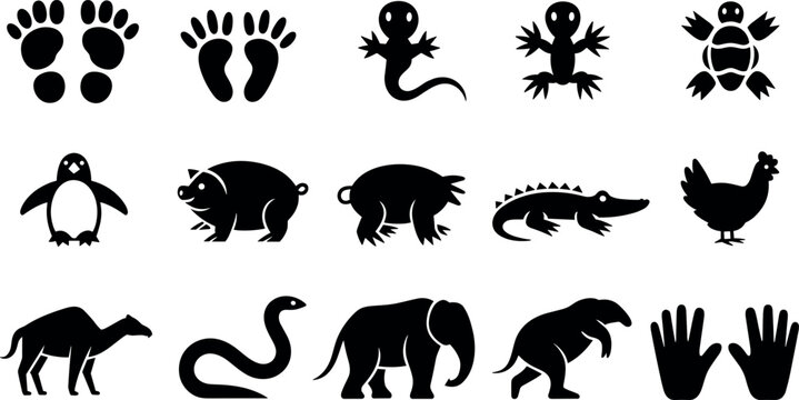Animal Footprint and Silhouette Icon Set Featuring Mammals, Reptiles, Birds, and Human Hands in Solid Black Vector Illustration Style