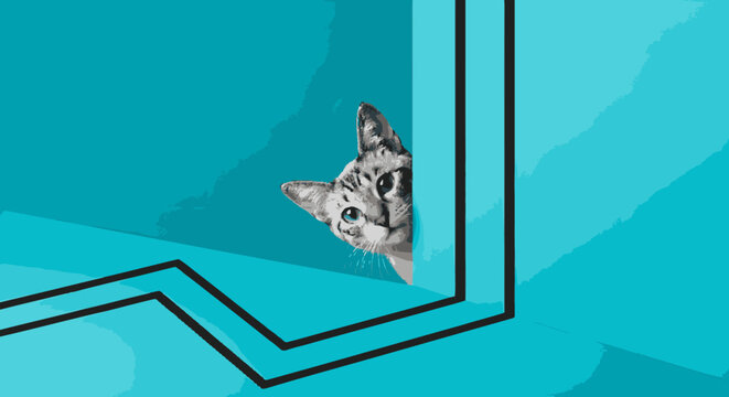 Curious kitten peeking around corner of teal wall with black geometric lines, playful and inquisitive animal portrait