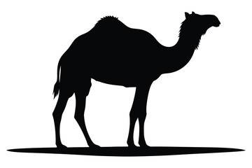 Camel silhouette a striking black outline of a dromedary against a white background © Assets 4 You