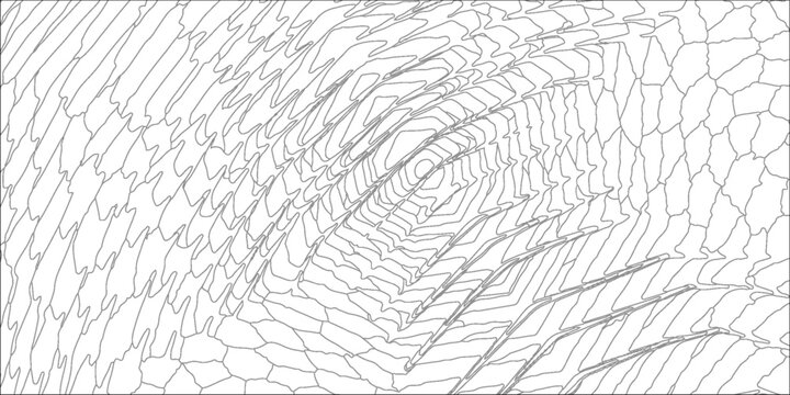 net background..a tangled net with black and white background
