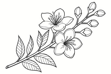 Obraz premium coloring page line art the gardenia flower black vector