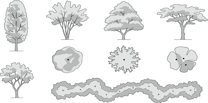 Comprehensive vector set of various tree and bush illustrations, presented in both elevation and top-down plan views, ideal for architectural landscape design and urban planning layouts