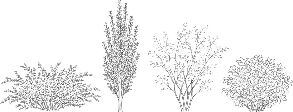 Diverse botanical illustration set featuring a variety of garden shrubs and outdoor flora, showcasing different plant species in detailed line art collection