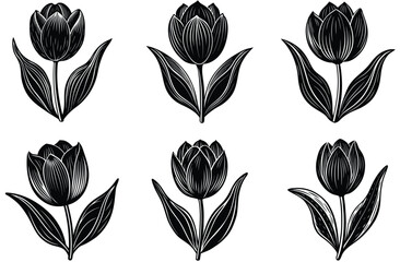 Scandinavian flower elements. Scandi style doodle plants, leaves flowers and branches vector set. Illustration branch plant and flower silhouette © mstkhatija