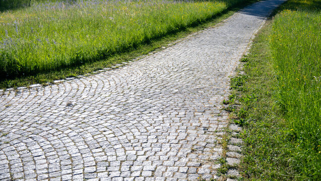 Ein schmaler Fu&szlig;weg f&uuml;hrt durch eine satt gr&uuml;ne Wiese
