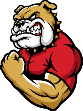 Bulldog Upper Body Mascot Illustration for Clothing and Merch