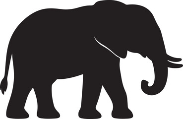 Fototapeta premium elephant isolated on white background