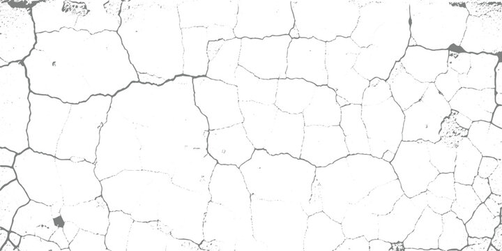 White cracked surface texture, abstract background, fine fracture lines, high contrast, minimalistic style vector illustration.
