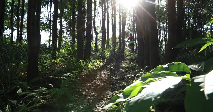 Young woman trail runner running in sunrise tropical forest