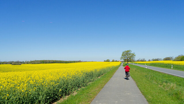 Radeln in der Schleiregion