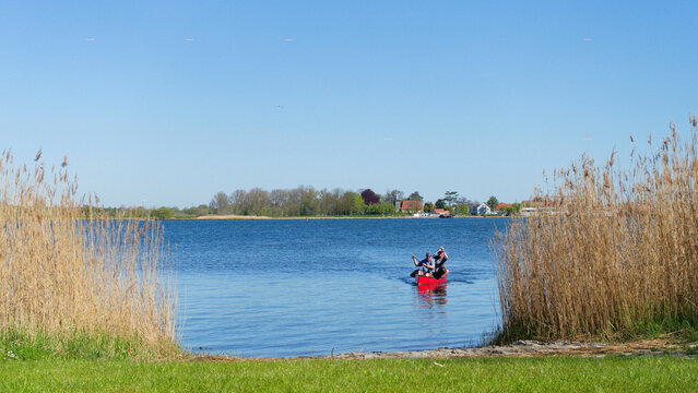 Schlei