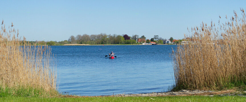 Schlei