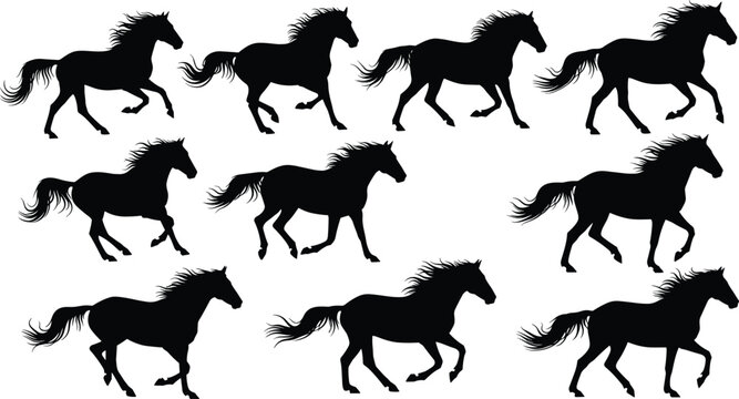 Horse silhouette set with running and galloping poses for equestrian design, animal illustration, farm concept, and dynamic motion graphics