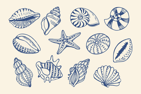 Mediterranean seashells set. Blue hand drawn marine icons. Sketch illustrations.