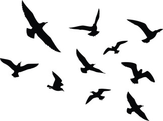 Fototapeta premium Flying birds silhouette collection with various wing positions isolated on white background for nature wildlife freedom and sky design use